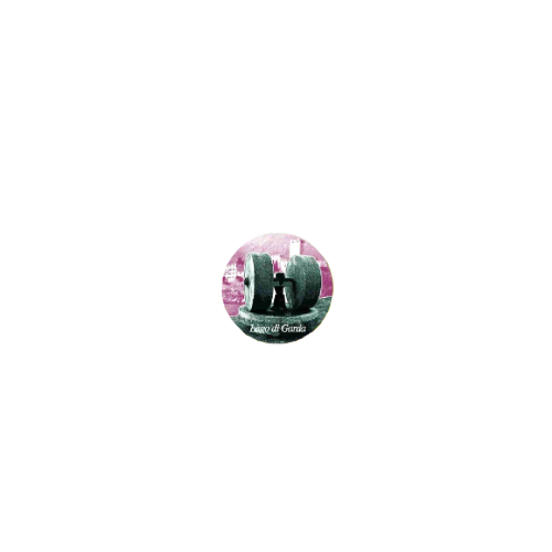 consorzio-olivicoltori-macesine-partner-olio-polla